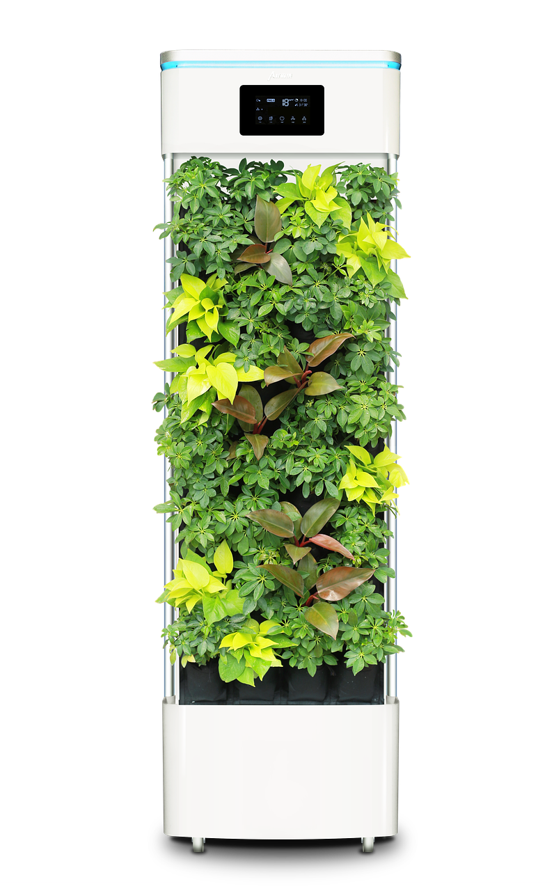 Best Air Purifiers to Buy in India – Complete Buying Guide & Reviews